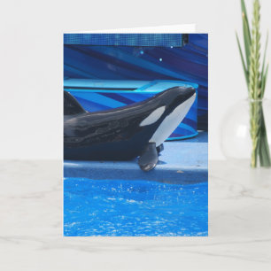 Cartão Posing Orca Greeting Card