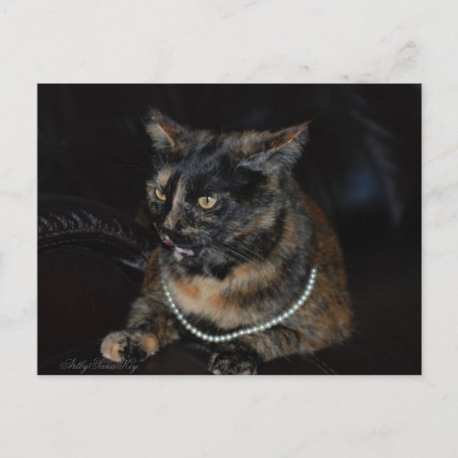 Cartão postal. (Frente)