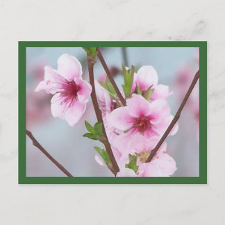 Cartão postal