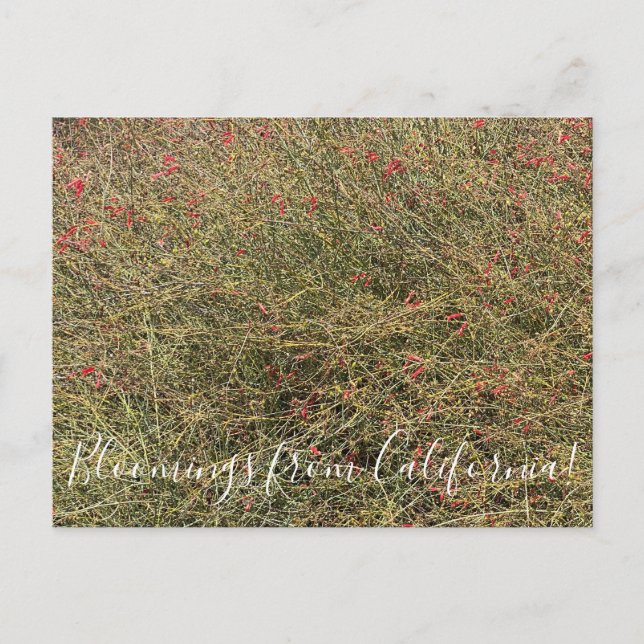 Cartão postal (Frente)