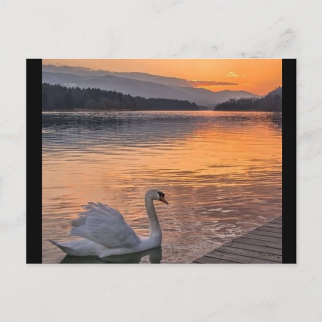 Cartão postal (Frente)