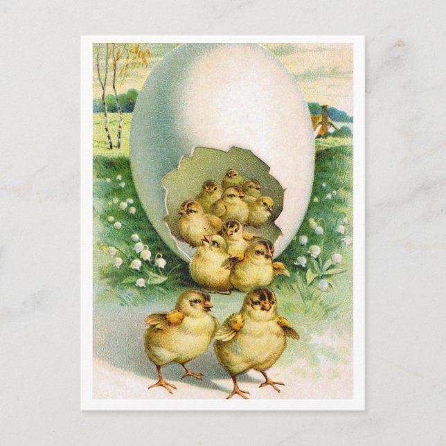 Cartão Postal (Frente)