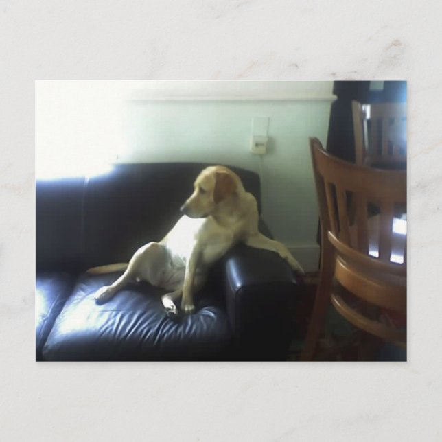 CARTÃO POSTAL  (Frente)