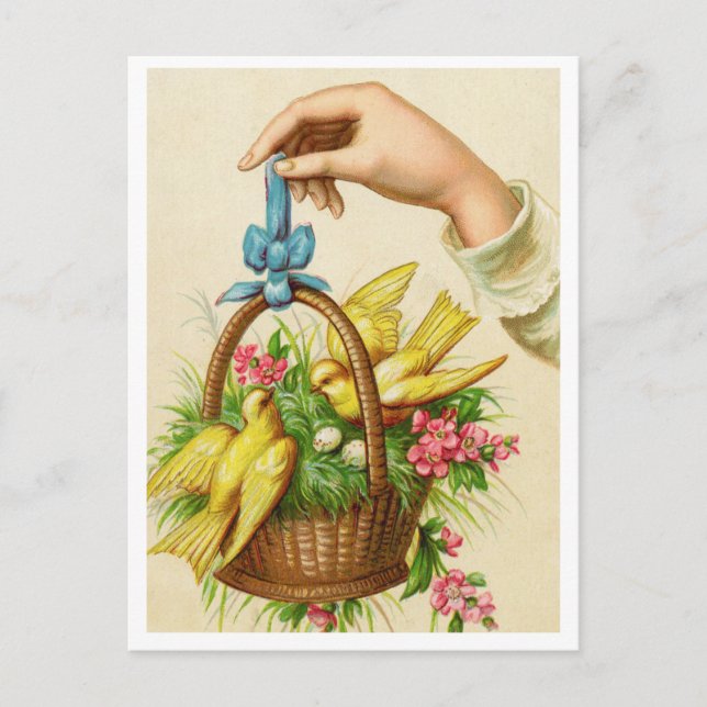 Cartão postal (Frente)