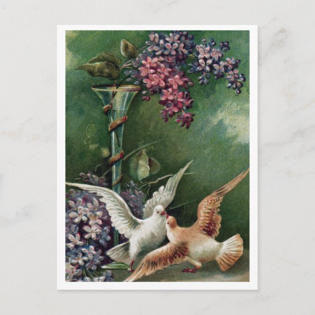 Cartão postal (Frente)