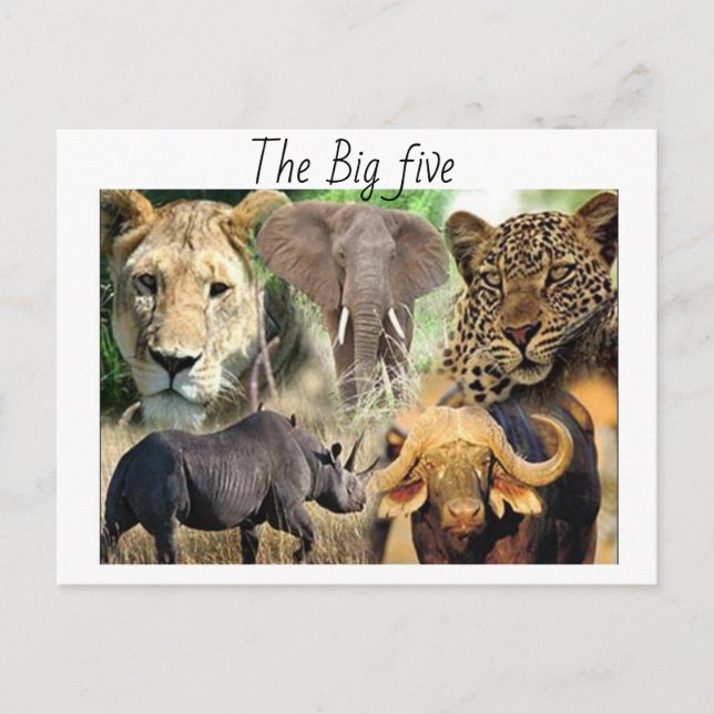 Cartão postal (Frente)