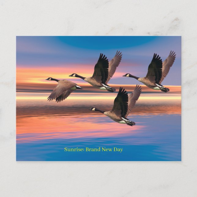 Cartão postal (Frente)