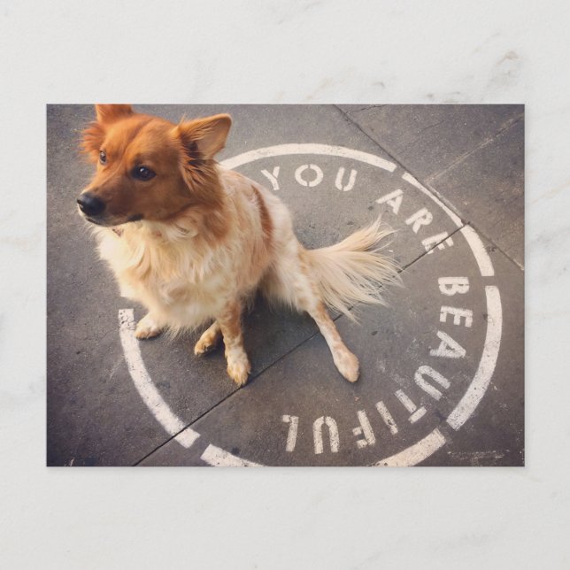 Cartão postal (Frente)