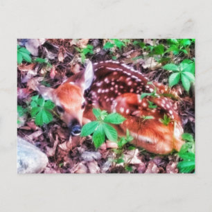CARTÃO POSTAL