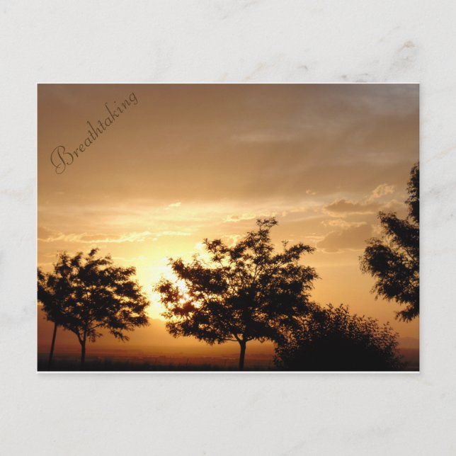 Cartão Postal (Frente)