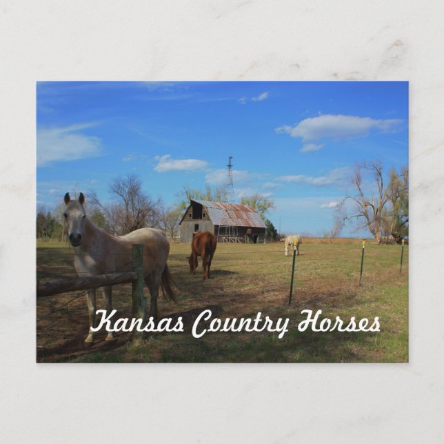 Cartão Postal (Frente)