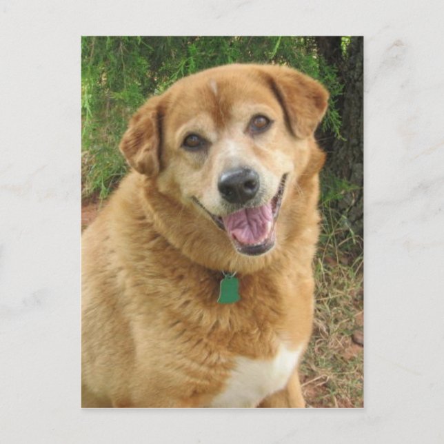 CARTÃO POSTAL  (Frente)