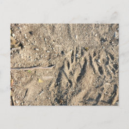 Cartão postal