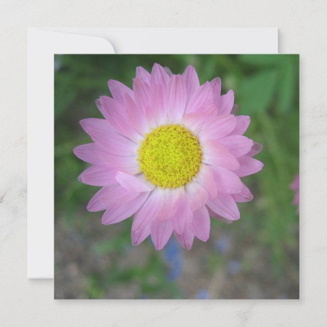 Cartão postal (Frente)