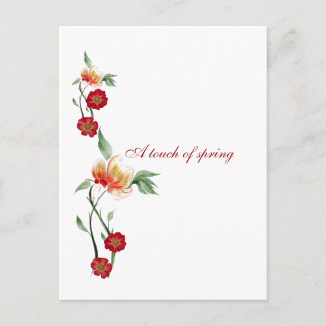 Cartão postal  (Frente)