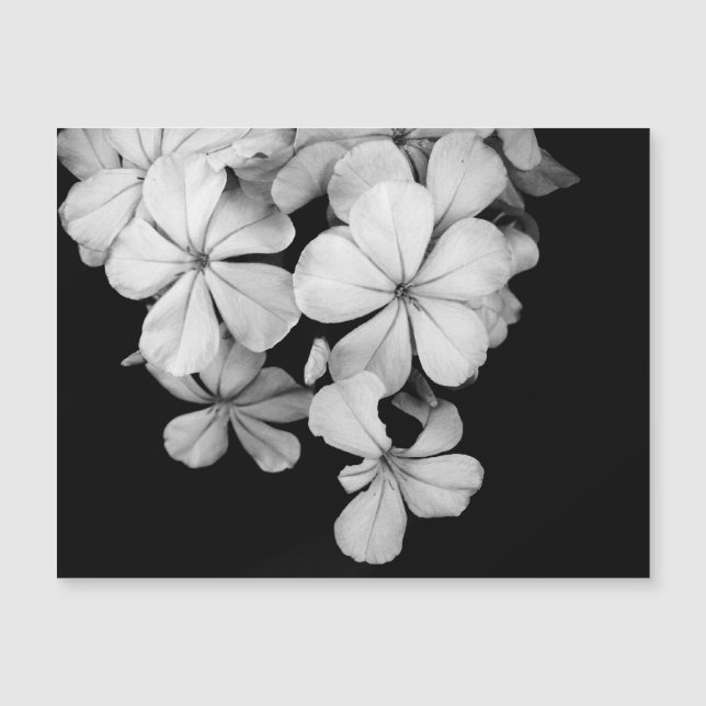 &Cartão postal (Frente)