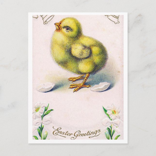 Cartão postal (Frente)