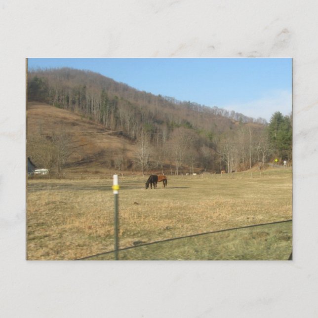 cartão postal (Frente)