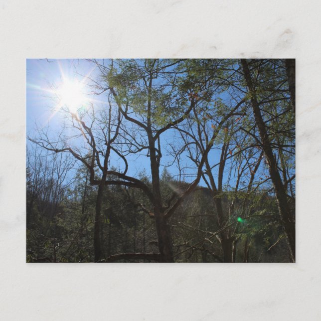 Cartão postal (Frente)