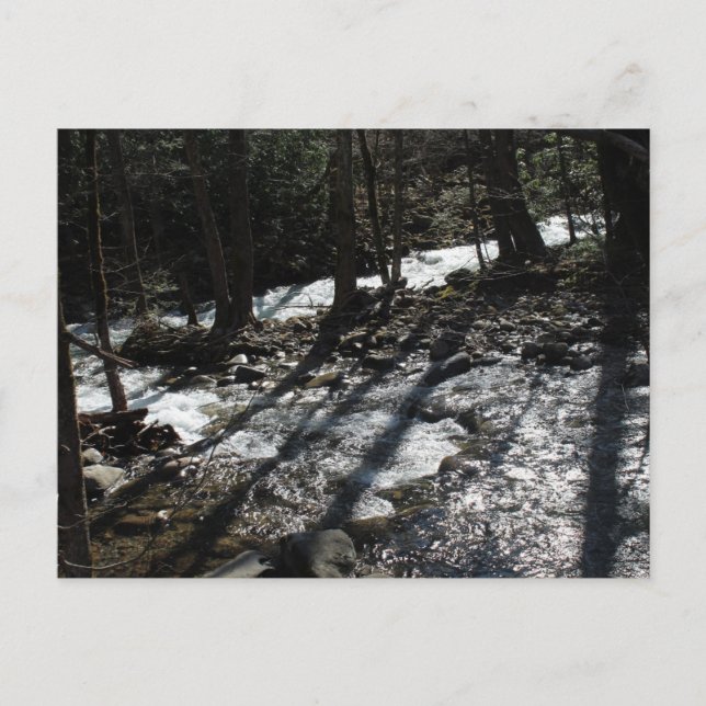 Cartão postal (Frente)