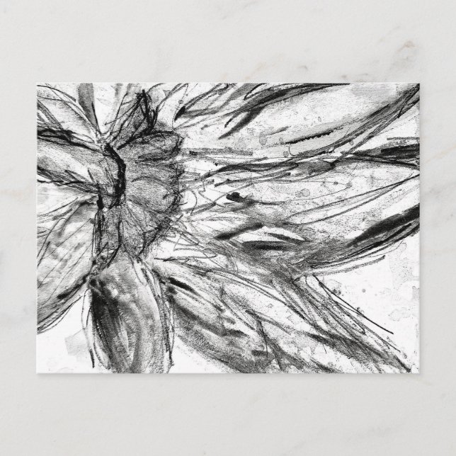 Cartão postal (Frente)