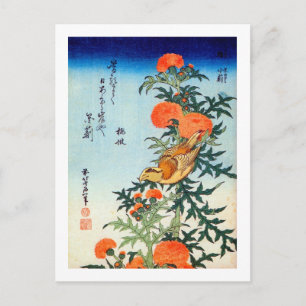 Cartão Postal ア ザ ミ 鳥 小, 北 に Pássaro e Aistle, Ho