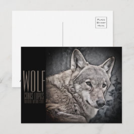 CARTÃO POSTAL オオカミ