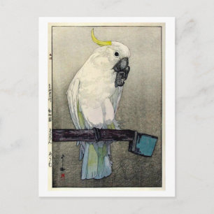 Cartão Postal キ バ タ ン オ, ・, cockatoo com creme de enxofre, Yoshi