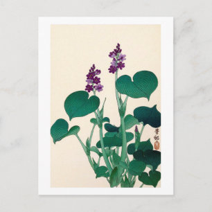 Cartão Postal ギ ボ の 花, 古 Purlowering Hosta, Ohara Koso