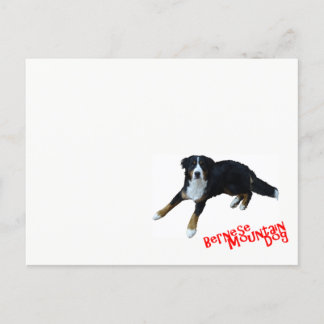 Cartão Postal バ Equipe ニ ズ マ ウ ン ン テ ド .