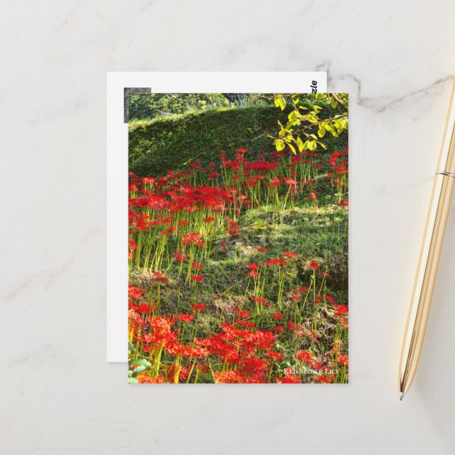 CARTÃO POSTAL ヒガンバナ (Frente/Verso In Situ)