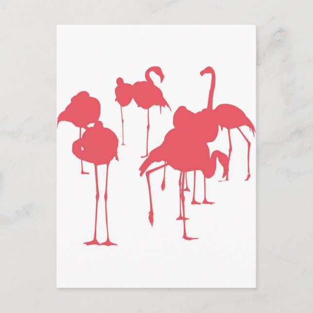 CARTÃO POSTAL フ ラ ミ ン ゴ (Frente)