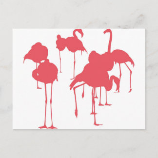 CARTÃO POSTAL フ ラ ミ ン ゴ