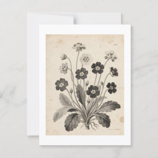 CARTÃO POSTAL ポストカード