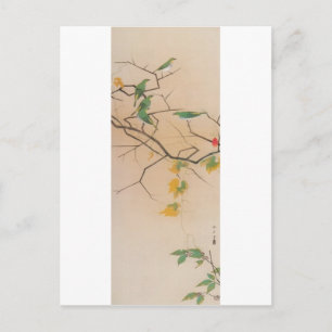 Cartão Postal メ ジ ロ, 速 水 御 舟, olhos brancos japone