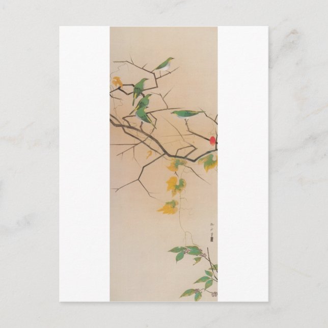 Cartão Postal メ ジ ロ, 速 水 御 舟, olhos brancos japoneses, Gyoshu, A (Frente)