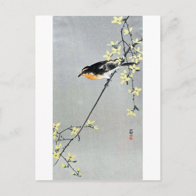 Cartão Postal レ ン ョ ウ に 小 鳥 古邨, ギ Bird em Forsythia, Ohara Koson (Frente)