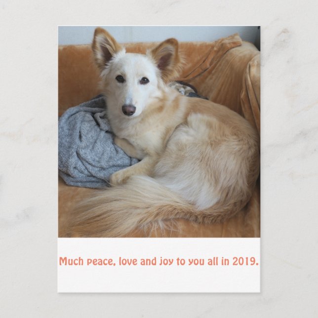 CARTÃO POSTAL ワ イ ル ド ミ  クス2019ド (Frente)