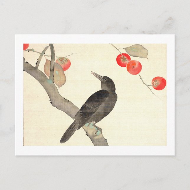 Cartão Postal 柿 に 烏, 抱 Persimmon e Crow, Hōitsu (Frente)