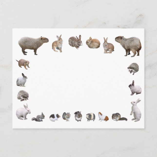 CARTÃO POSTAL 様 々 な 小 物 動 (Frente)