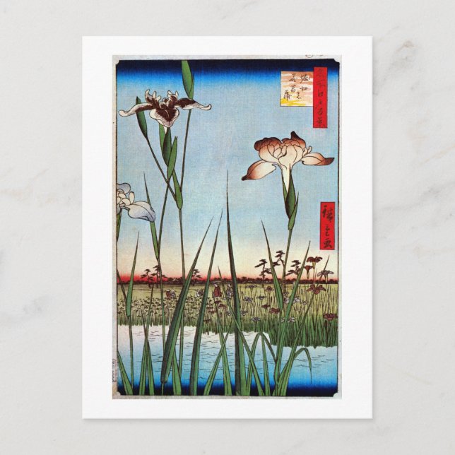 Cartão Postal 江戸の菖蒲, íris do 広重 de Edo, Hiroshige (Frente)