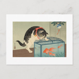 Cartão Postal 猫 と 魚, 古 邨 Cat & Goldfish, Koson, Ukiyo-e