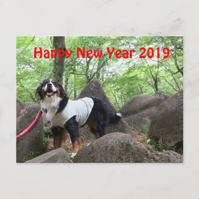 CARTÃO POSTAL 花 音2019年 賀 状 (Frente)