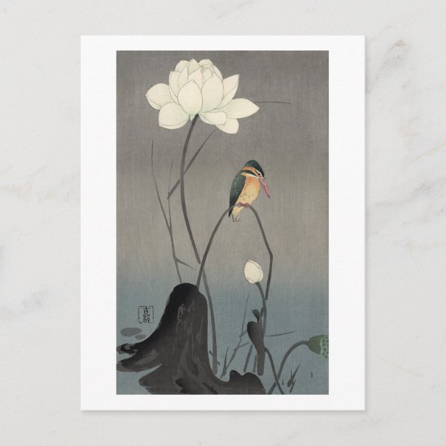 Cartão Postal 蓮にカワセミ, martinho pescatore em Lotus, Koson do 古邨, (Frente)