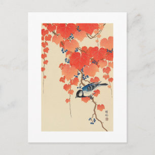 Cartão Postal 赤い蔦に鳥, pássaro do 古邨 na hera vermel