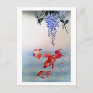 Cartão Postal 金 魚 と 藤, 小 原 古 邨 Goldfish e Wisteria, Ohara Koson