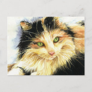 Cartão Postal 0010 Calico Cat