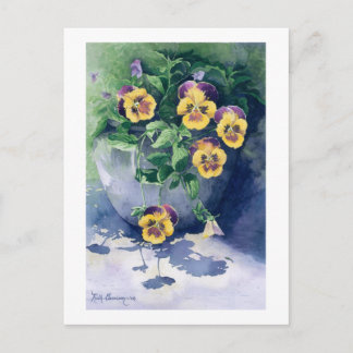 Cartão Postal 0011 Pansies em Planter