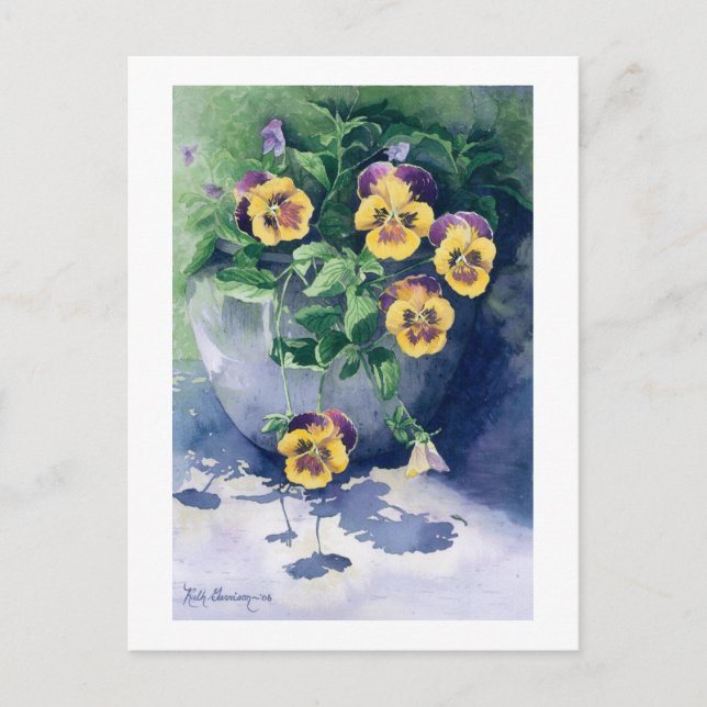 Cartão Postal 0011 Pansies em Planter (Frente)