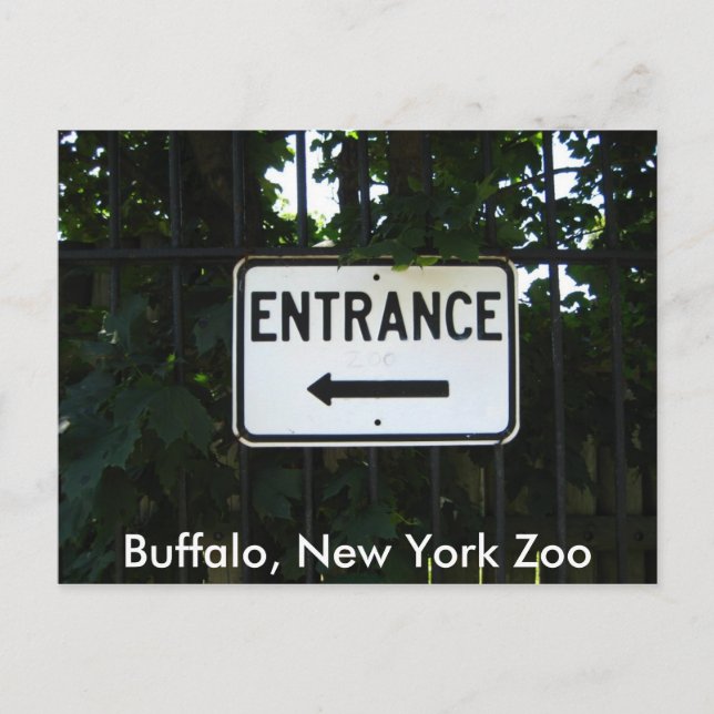 Cartão Postal 001, Buffalo, Zoo de Nova Iorque (Frente)
